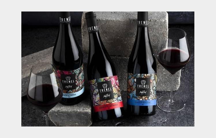 image de Atelier Découverte "Rhône & Beaujolais " - M.CHAPOUTIER