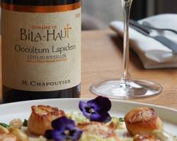 Wine & seafood workshop - M.CHAPOUTIER