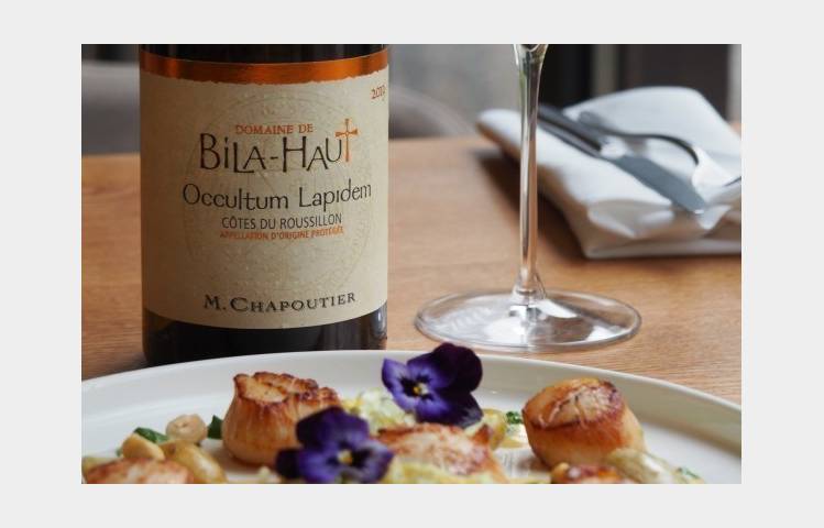 image de Atelier "Vin & saveurs de la mer" - M.CHAPOUTIER