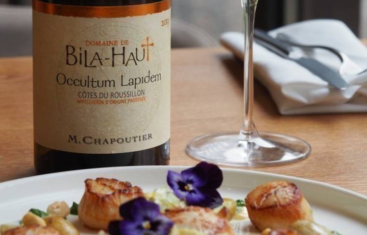 Photo of Wine & seafood workshop - M.CHAPOUTIER