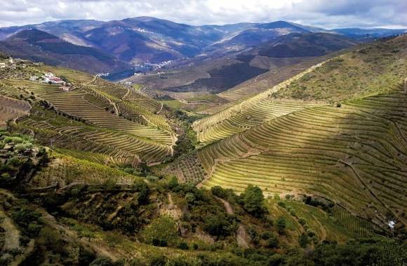 Atelier Découverte "  Espagne & Portugal   " - M.CHAPOUTIER