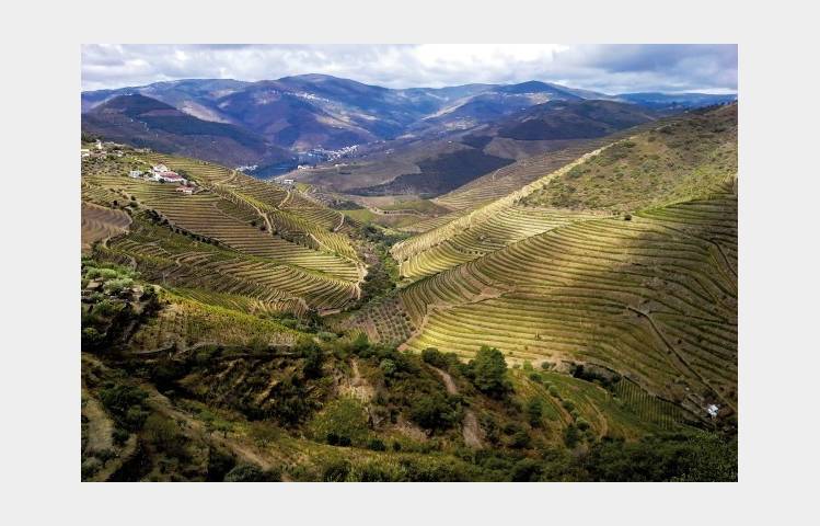 image de Atelier Découverte "  Espagne & Portugal   " - M.CHAPOUTIER