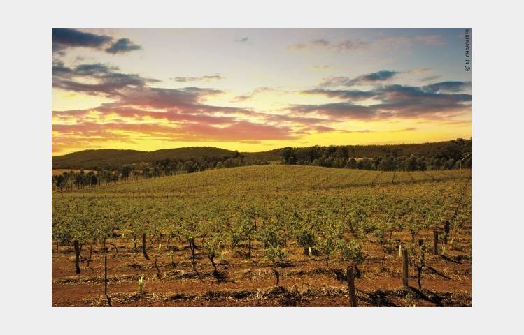 image de Atelier Découverte " Tour du Monde " - M.CHAPOUTIER