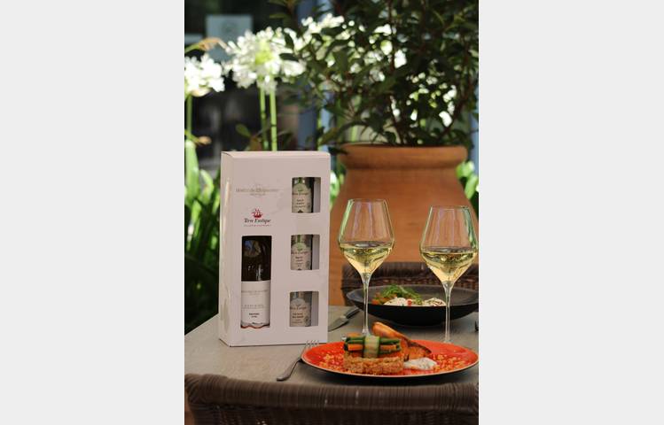 image de Atelier Découverte "Vins & épices" - M.CHAPOUTIER