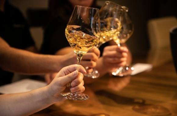 Atelier Découverte "Rhône Septentrional" - M.CHAPOUTIER