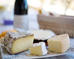 Wine & cheese tasting - Terres de Syrah