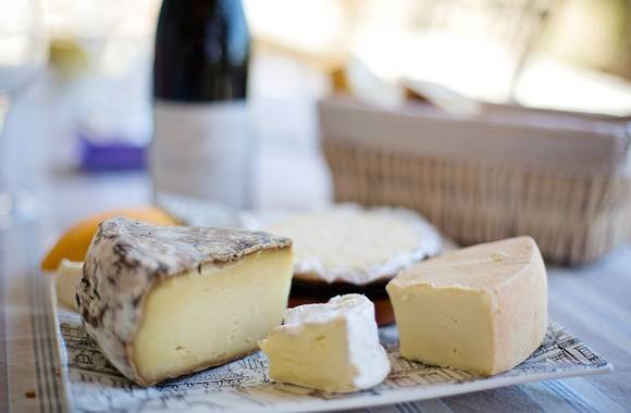 Wine & cheese tasting - Terres de Syrah