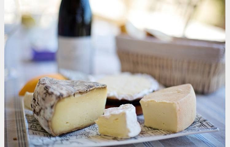 image de Wine & cheese tasting - Terres de Syrah