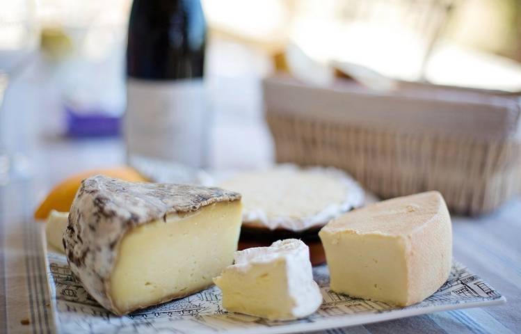 Photo of Dégustation Vins & Fromages - Terres de Syrah