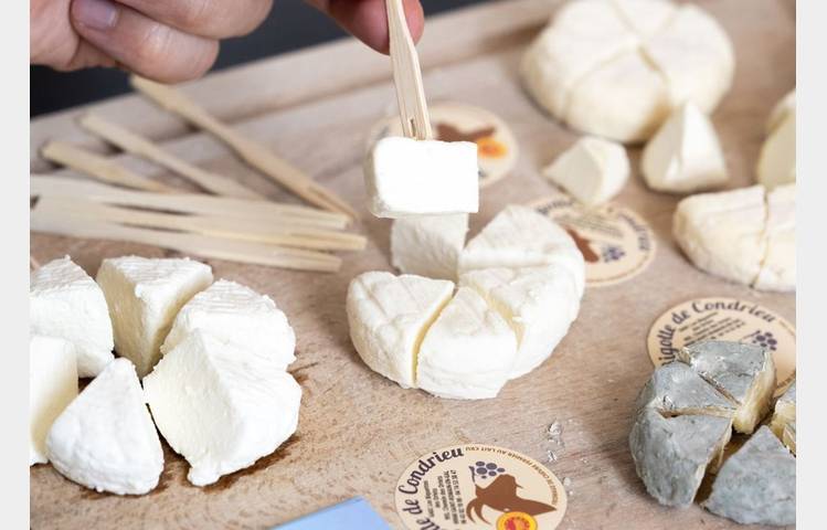 image de Vin et Rigotte en Fête