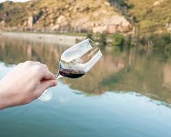 Apéro sur l'eau entre Saint-Joseph et Hermitage - les Canotiers et Terre de Syrah