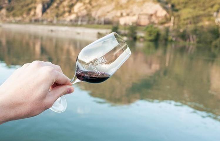 Photo of Aperitif on the water between Saint-Joseph and Hermitage - les Canotiers and Terre de Syrah