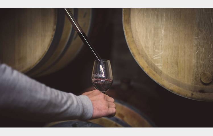 image de Visite et dégustation au Domaine Burgaud