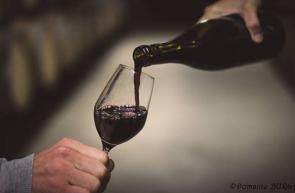 Tour and tasting at Domaine Burgaud