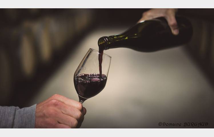 image de Visite et dégustation au Domaine Burgaud