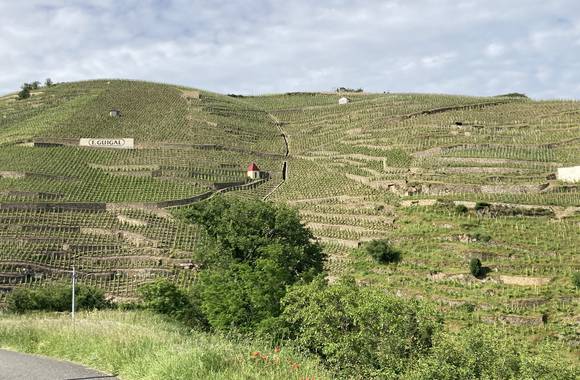 Côte-Rôtie in all its glory, from the vineyards to the cellars with Mr. Probus