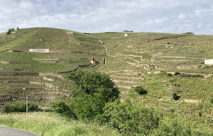 Photo of La Côte-Rôtie grandeur nature, des coteaux aux chais avec Mr Probus