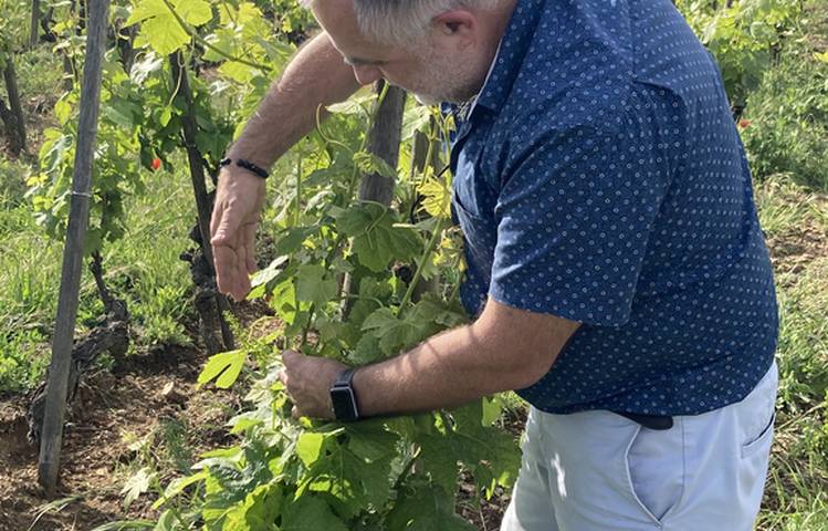 Photo of La Côte-Rôtie grandeur nature, des coteaux aux chais avec Mr Probus