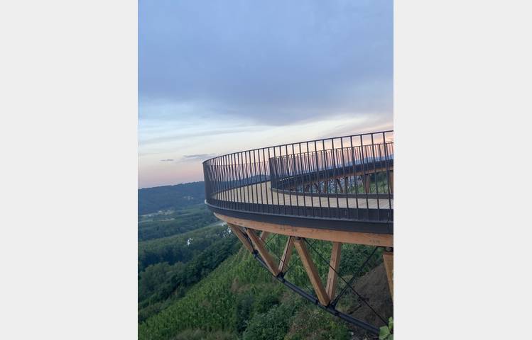 image de La Côte-Rôtie grandeur nature, des coteaux aux chais avec Mr Probus