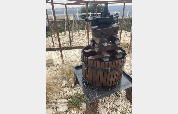 image de La Côte-Rôtie grandeur nature, des coteaux aux chais avec Mr Probus