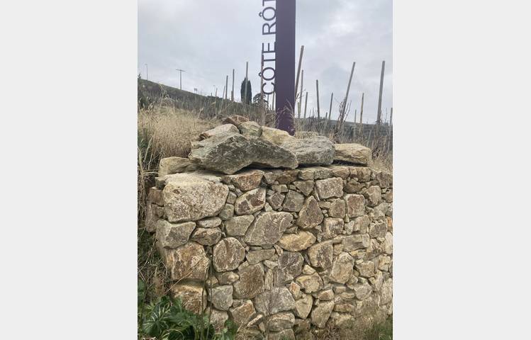 image de La Côte-Rôtie grandeur nature, des coteaux aux chais avec Mr Probus