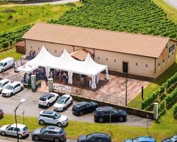 Domaine des Arcandres