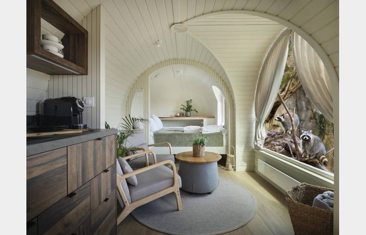 image de Les lodges au milieu des Ratons Laveurs