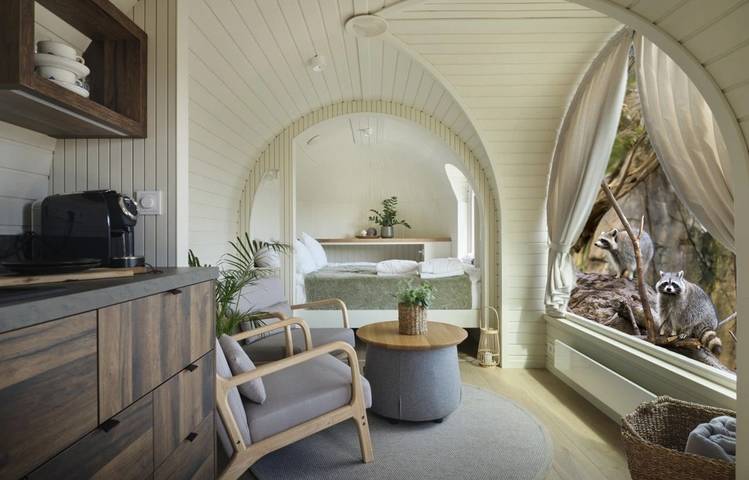 Photo of Les lodges au milieu des Ratons Laveurs