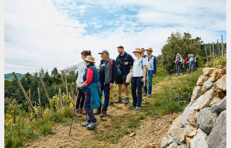image de Vignes & Saveurs – Balade gourmande en Rhône Crussol
