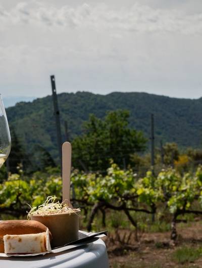 img-vignes-saveurs-balade-gourmande-en-rhone-crussol