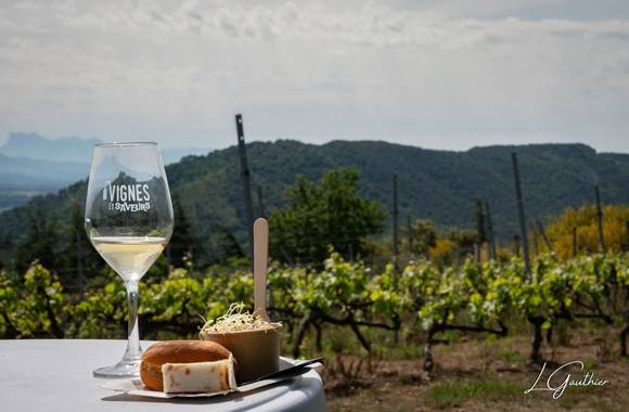 Vignes & Saveurs – Balade gourmande en Rhône Crussol