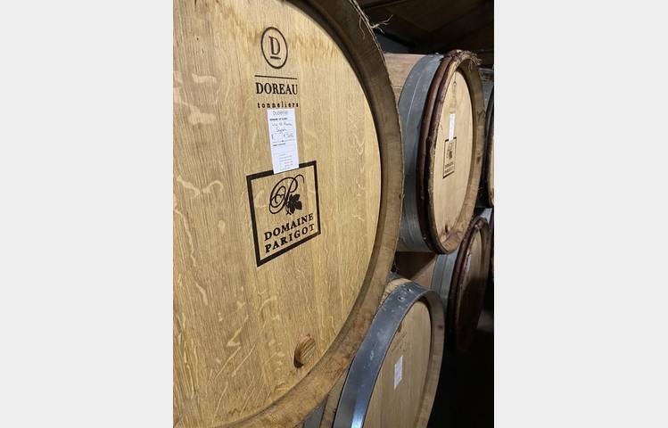 image de Apéro sunset dans les vignes (Pierres sèches)