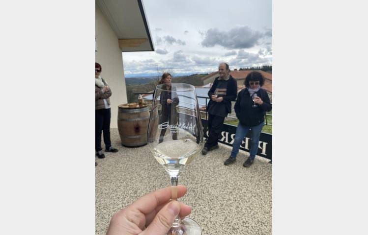 image de Apéro sunset dans les vignes (Pierres sèches)