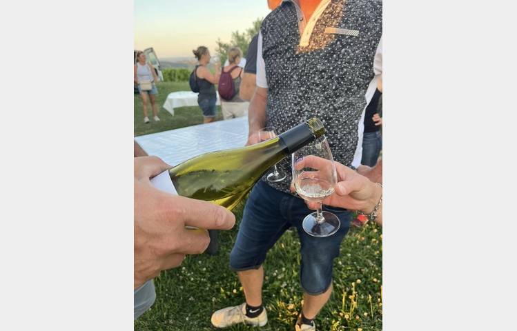 image de Apéro sunset dans les vignes (Domaine L. Bertrand)