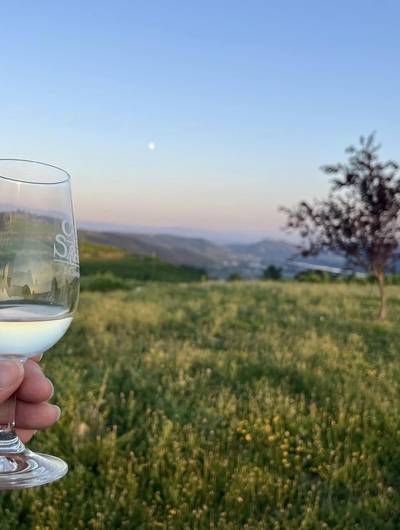 img-sunset-dans-les-vignes-domaine-l-bertrand