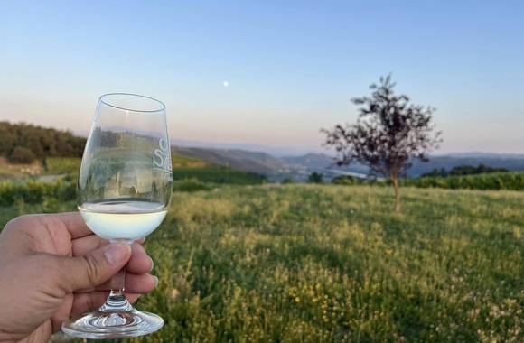 Apéro sunset dans les vignes (Domaine L. Bertrand)