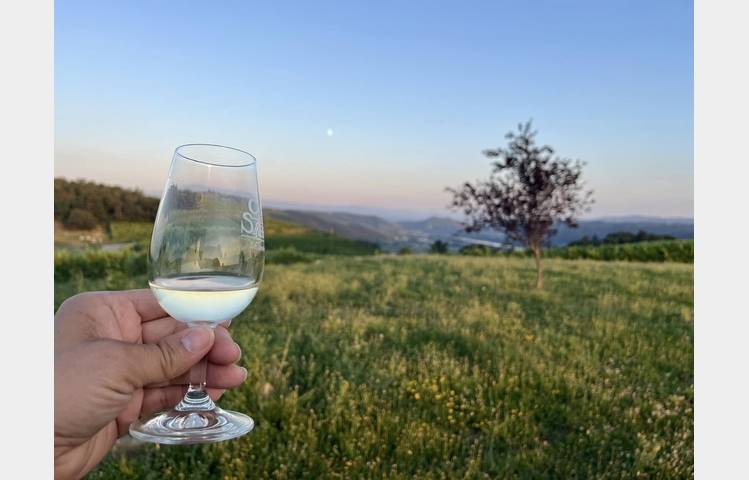 image de Apéro sunset dans les vignes (Domaine L. Bertrand)