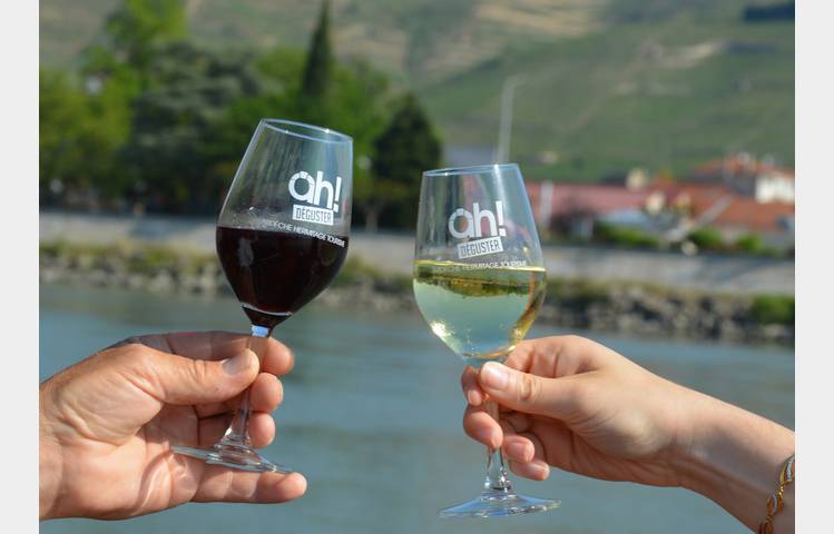 image de Apé'Rhône cruise in Tournon with Les Canotiers