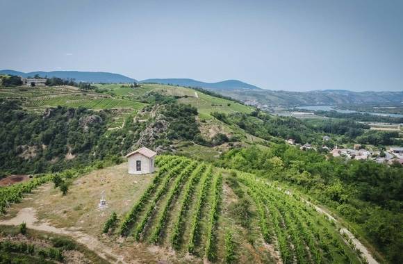 Apéro Vignes au Domaine Anthony Paret