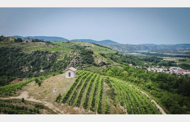 image de Apéro Vignes au Domaine Anthony Paret