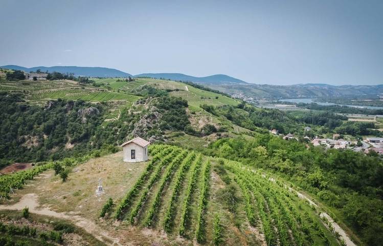 Photo of Apéro Vignes au Domaine Anthony Paret