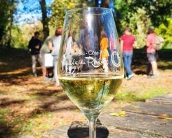 Apéro Vignes au Domaine Anthony Paret