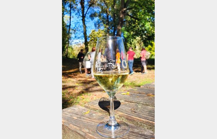 image de Apéro Vignes at Domaine Anthony Paret