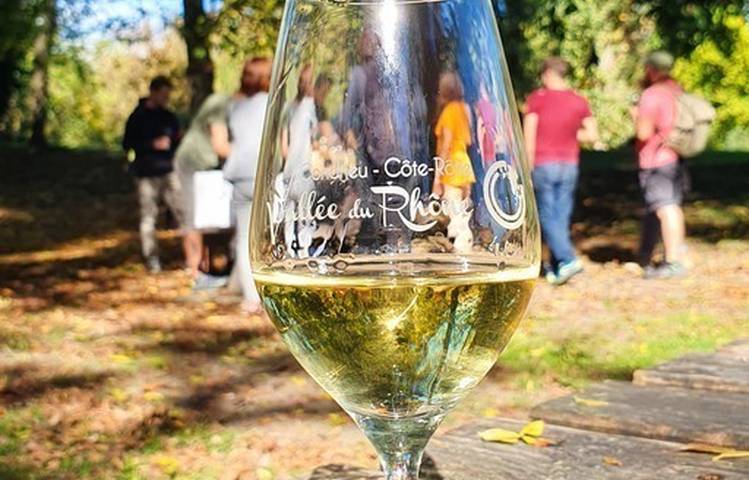 Photo of Apéro Vignes au Domaine Anthony Paret