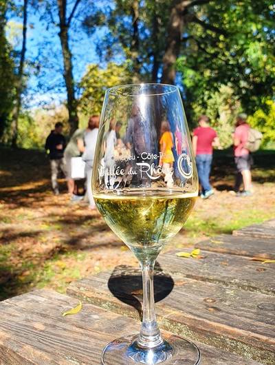 img-apero-vignes-au-domaine-pichon