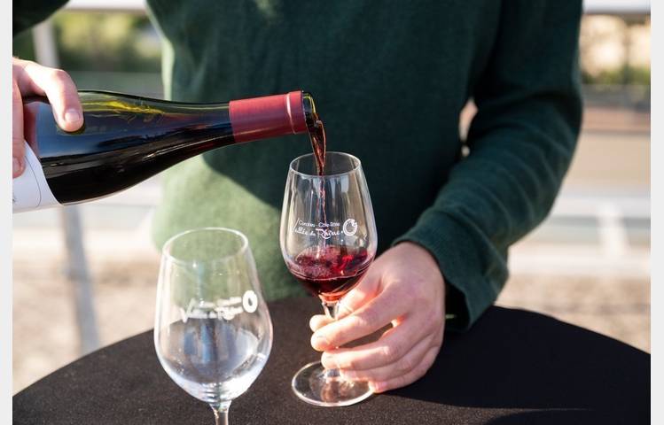 image de Apéro Vignes à la Maison Criner-Estevan