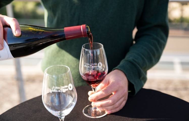 Photo of Apéro Vignes à la Maison Criner-Estevan