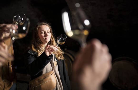 Culture and wines at Domaine Anthony Paret