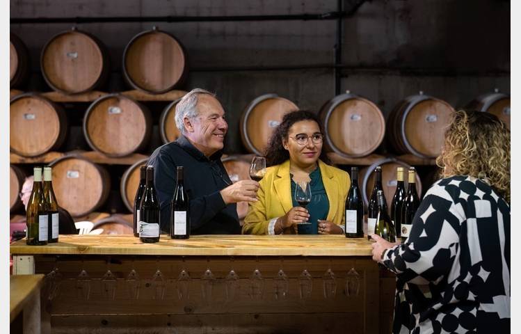 image de Culture et Vin au Domaine de Pimotin