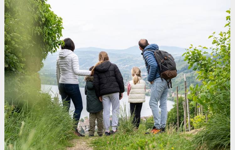 image de Rando Wine à la Maison Criner-Estevan
